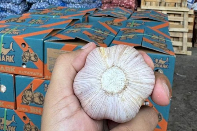 圖片1